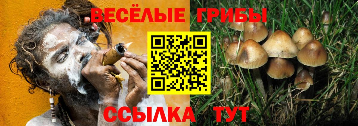 Самара  купить наркоту  Вход с VPN  Галлюциногенные грибы Cubensis 